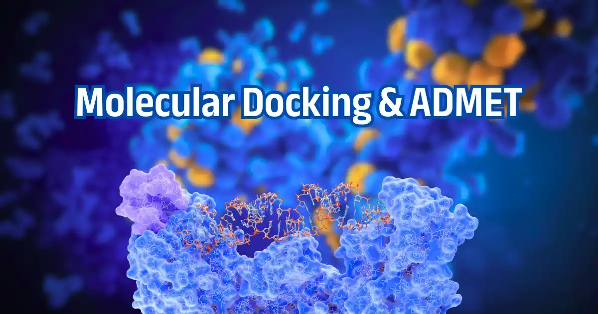 Molecular Docking Advanced & ADMET 12